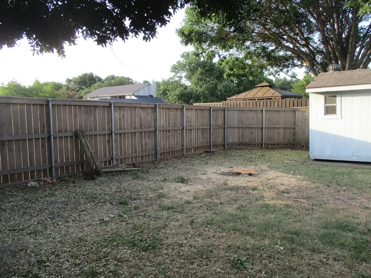 Cleared yard after professional tree removal in Hoffmeister