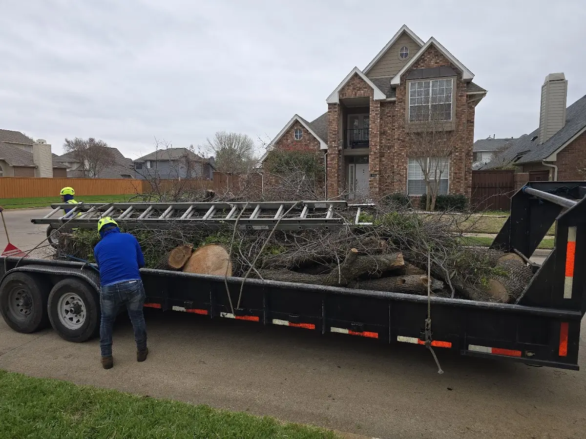 Expert Lot Clearing with proper safety equipment in Hoffmeister